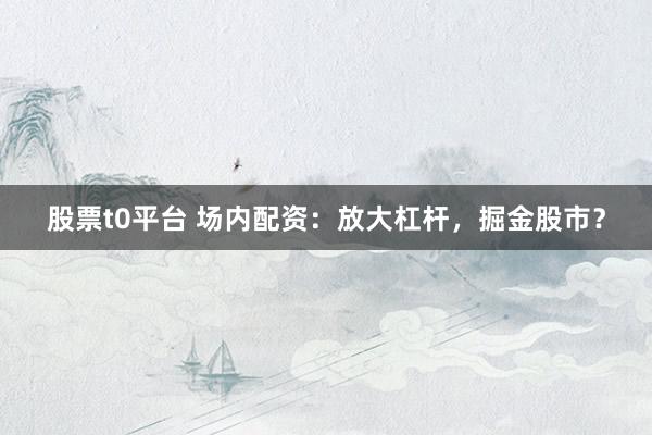 股票t0平台 场内配资：放大杠杆，掘金股市？