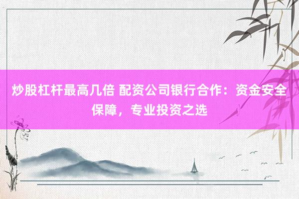 炒股杠杆最高几倍 配资公司银行合作：资金安全保障，专业投资之选