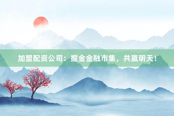 加盟配资公司:掘金金融市集,共赢明天!