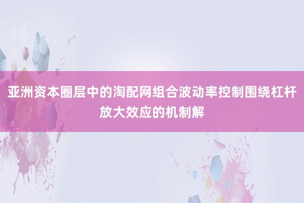 亚洲资本圈层中的淘配网组合波动率控制围绕杠杆放大效应的机制解